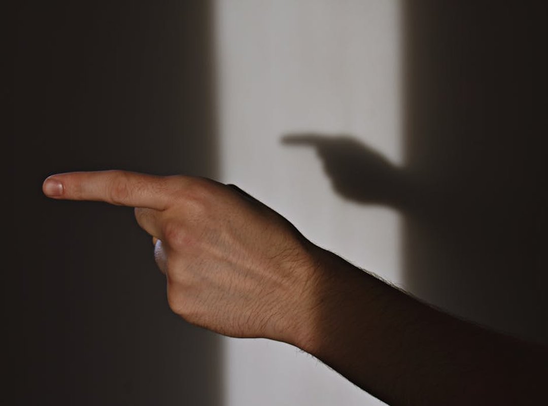 Etsjavaapp Release Date by Etruesports