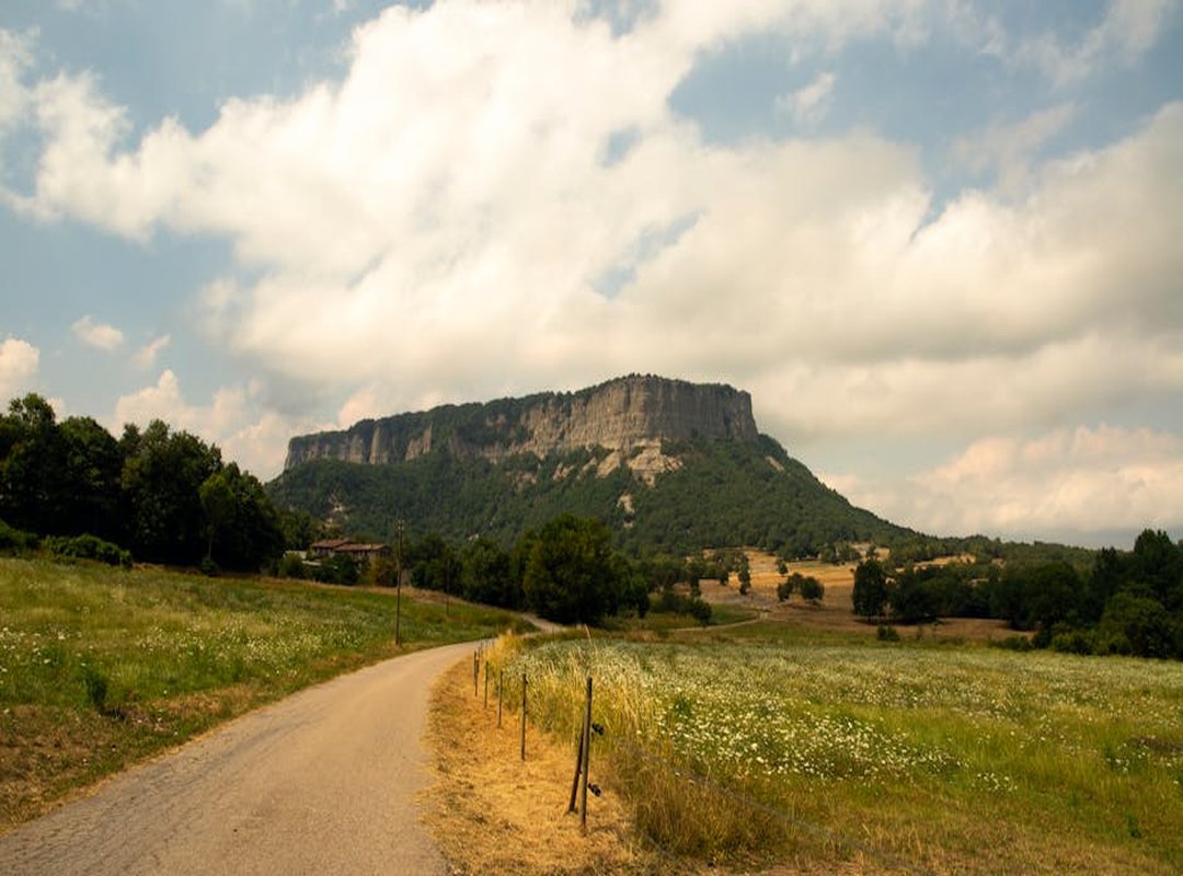 Amplasarea Ideală: Spate, Lateral sau Fața Gâtului?